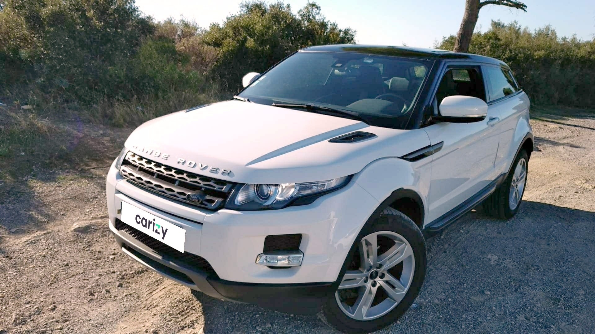 LAND ROVER EVOQUE d'occasion 2.2 ED4 150 DYNAMIC 2WD ISTRES CARIZY